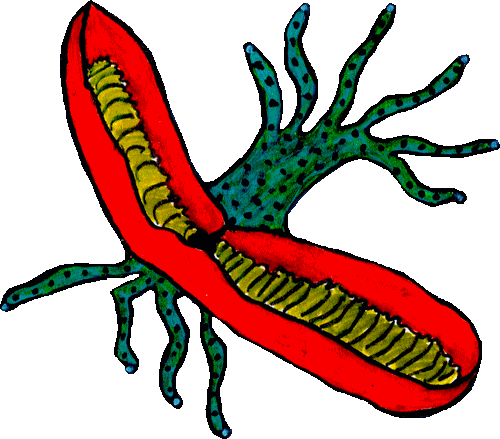 Carnacière, plante carnivore colossale de l’univers L’Ile du Coeur